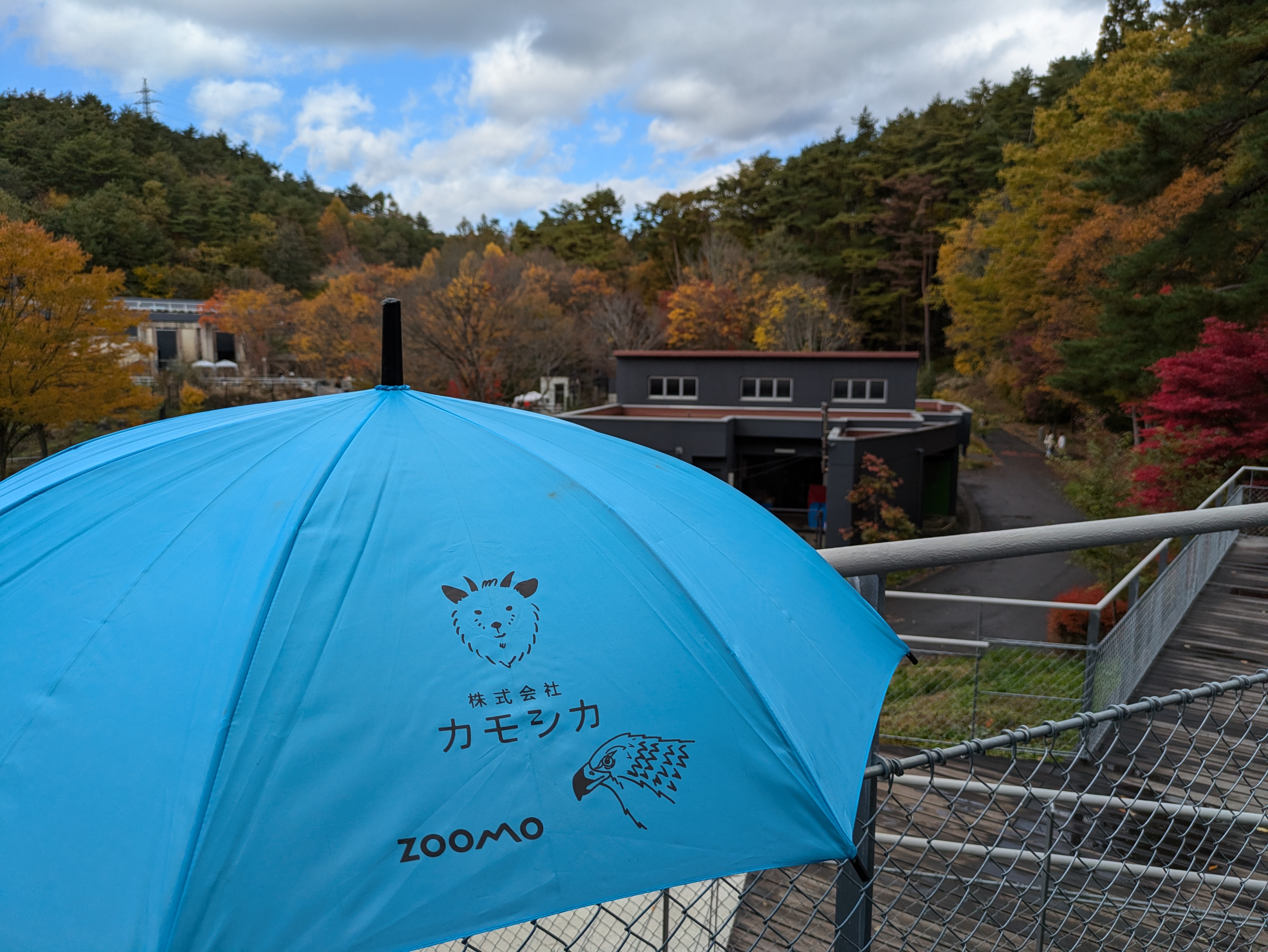 盛岡市動物公園ZOOMOの園内で広げた、カモシカとZOOMOのロゴ入りの青い貸傘